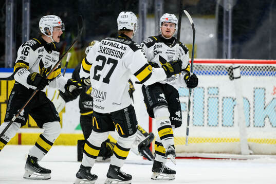 Västerås Malte Sjögren jublar