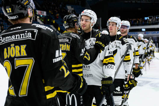 Västerås Anton Gradin