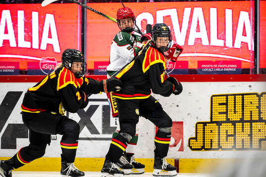 Brynäs Annie Silén