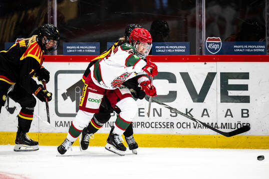 Modos Ebba Hedqvist