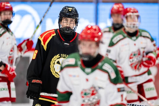 Brynäs Sanni Vanhanen deppar