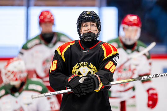 Brynäs Sanni Vanhanen