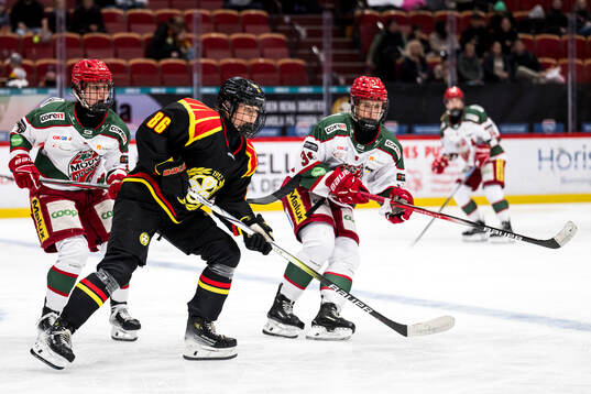 Brynäs Sanni Vanhanen