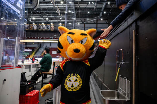 Brynäs maskot