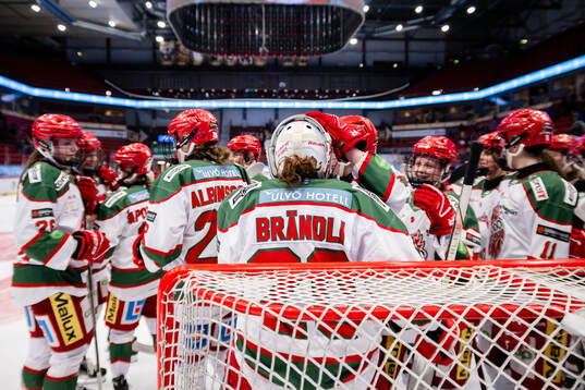 Bläddra bland fler bilder av Ishockey, SDHL, Brynäs - Modo