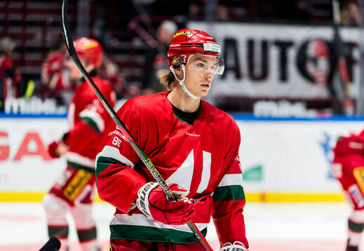 Modos Lukas Jasek
