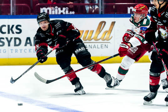 Malmö Redhawks Johan Olofsson och Modos Theodor Niederbach
