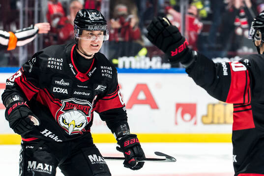 Malmö Redhawks Fredrik Händemark jublar
