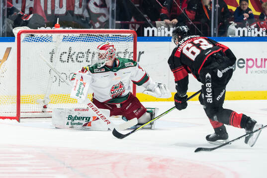 Malmö Redhawks Fredrik Händemark jublar