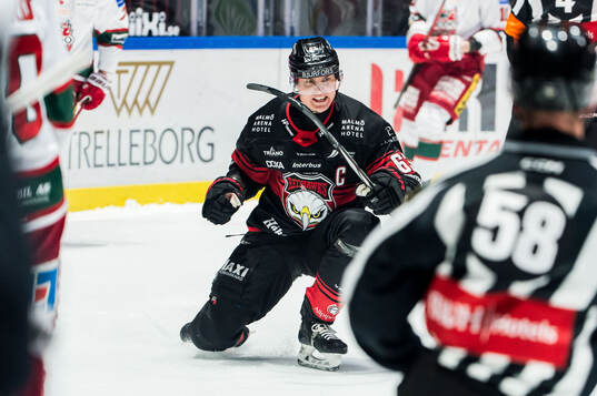 Malmö Redhawks Fredrik Händemark jublar