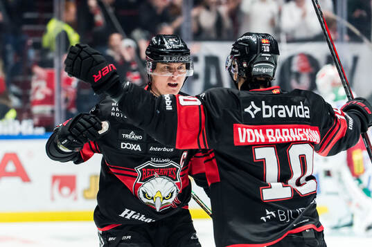 Malmö Redhawks Fredrik Händemark och William von Barnekow
