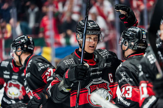 Malmö Redhawks Fredrik Händemark jublar