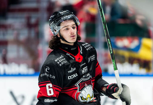 Malmö Redhawks Dominik Badinka