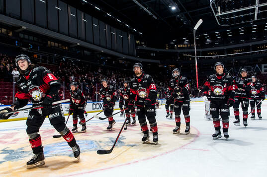 Malmö Redhawks spelare jublar