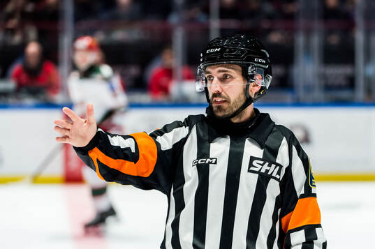 Domare Mattias Enroth