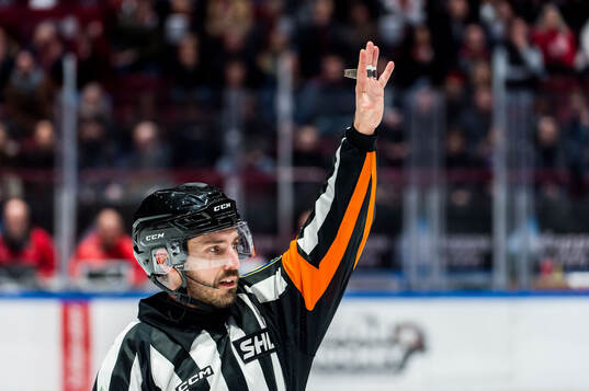 Domare Mattias Enroth