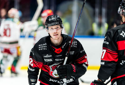 Malmö Redhawks Linus Öberg