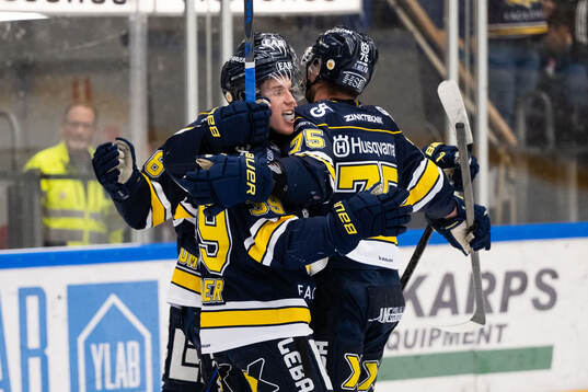 HV71s Radan Lenc jublar