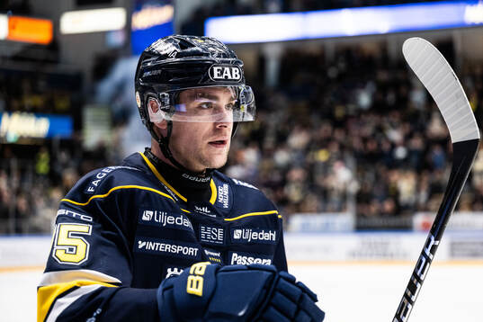 HV71s Radan Lenc jublar