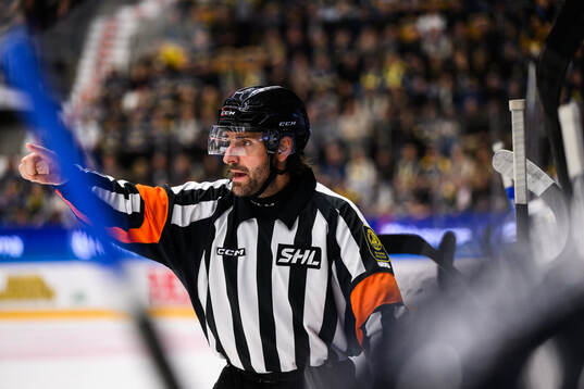 Domare Mikael Sjöqvist