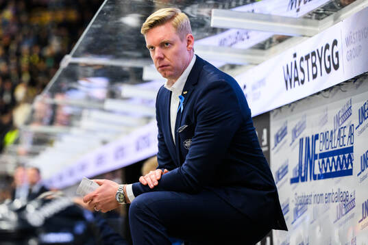 HV71s tränare Anton Blomqvist