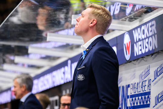HV71s tränare Anton Blomqvist