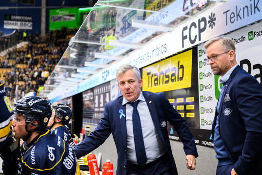 HV71s assisterande tränare Fredrik Stillman