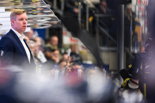 HV71s tränare Anton Blomqvist