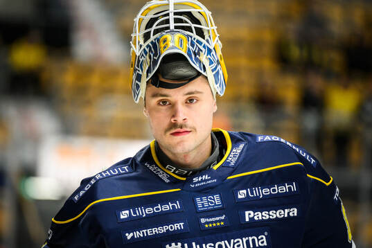 HV71s målvakt Frederik Dichow