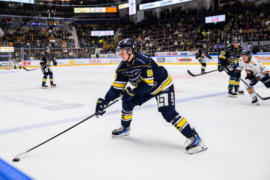 HV71s Herman Träff