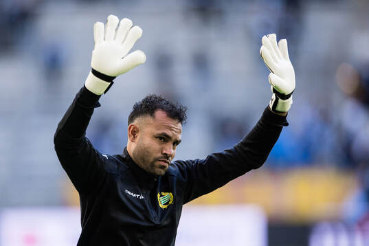 Hammarbys målvakt Warner Hahn