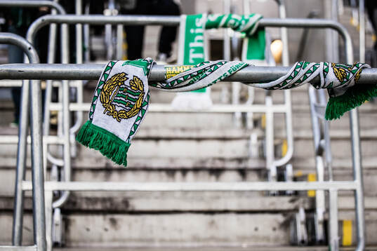 En Hammarbyhalsduk