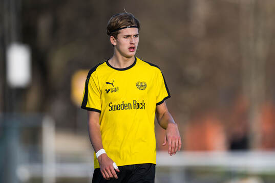 Mjällbys Elias Johnsson
