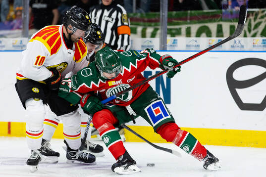 Brynäs Johan Larsson och Frölundas Isac Born