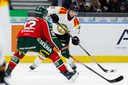 Brynäs Christian Djoos