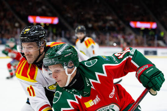 Brynäs Jordan Schroeder och Frölundas Max Friberg