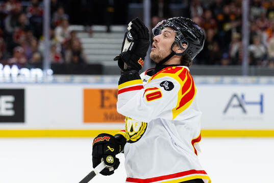 Brynäs Miks Indrasis