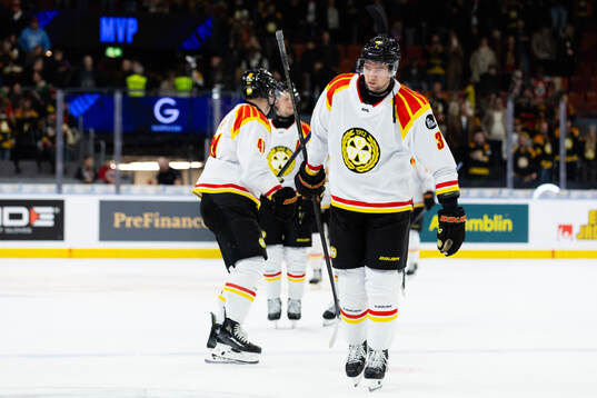 Brynäs Christian Djoos  deppar