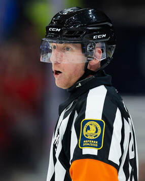 Domare Mikael Holm