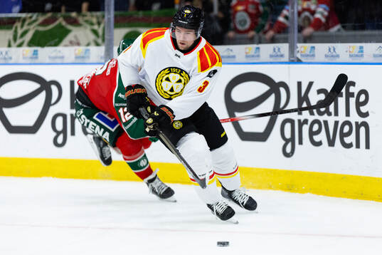 Brynäs Christian Djoos