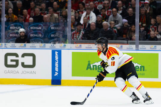 Brynäs Anton Rödin