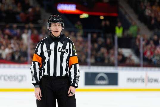 Domare Mikael Holm