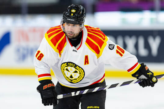 Brynäs Anton Rödin