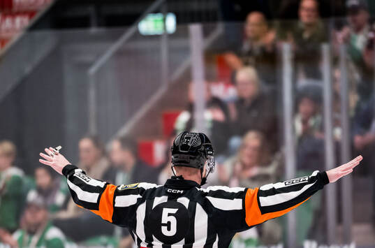 Domare Daniel Eriksson