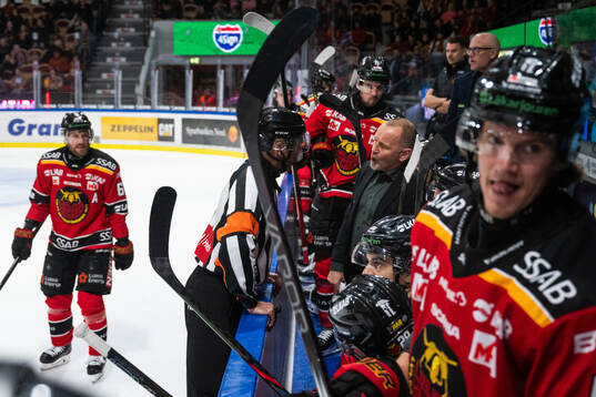 Luleås tränare Thomas Berglund