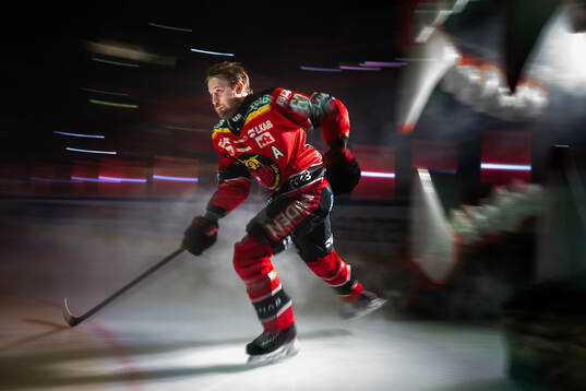 Luleås Linus Omark åker genom björngapet