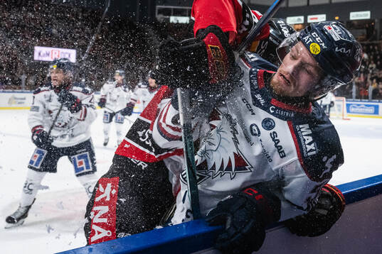 Linköpings Adam Hofbauer