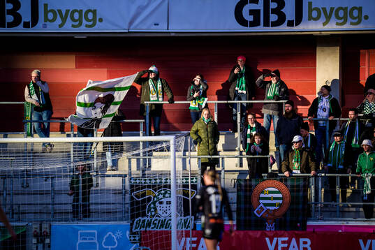 Hammarby supportrar
