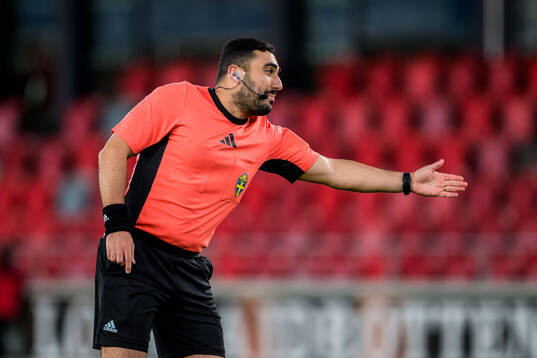Domaren Paul Shamoun