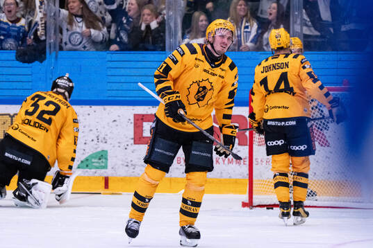Skellefteås Max Lindholm deppar